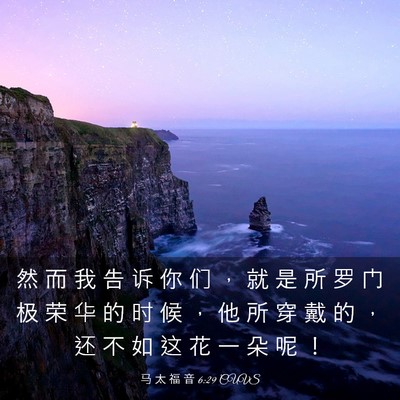 Picture 03 - 马 太 福 音 6:29 CUVS - 然 而 我 告 诉 你 们 ， 就 是 所 罗 - Bible Verse Picture