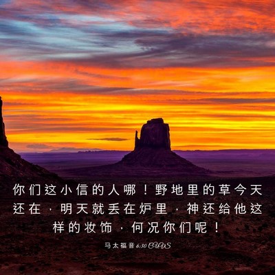 Picture 03 - 马 太 福 音 6:30 CUVS - 你 们 这 小 信 的 人 哪 ！ 野 地 里 - Bible Verse Picture