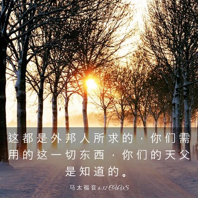 Picture 03 - 马 太 福 音 6:32 CUVS - 这 都 是 外 邦 人 所 求 的 ， 你 们 - Bible Verse Picture