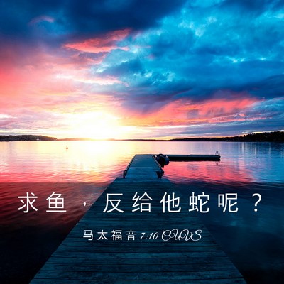 Picture 03 - 马 太 福 音 7:10 CUVS - 求 鱼 ， 反 给 他 蛇 呢 - Bible Verse Picture