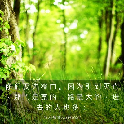 Picture 03 - 马 太 福 音 7:13 CUVS - 你 们 要 进 窄 门 。 因 为 引 到 灭 - Bible Verse Picture
