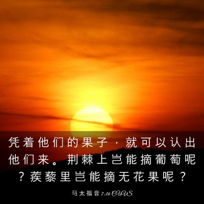 Picture 03 - 马 太 福 音 7:16 CUVS - 凭 着 他 们 的 果 子 ， 就 可 以 认 - Bible Verse Picture