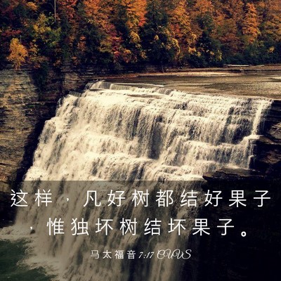 Picture 03 - 马 太 福 音 7:17 CUVS - 这 样 ， 凡 好 树 都 结 好 果 子 ， - Bible Verse Picture