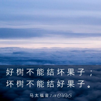 Picture 03 - 马 太 福 音 7:18 CUVS - 好 树 不 能 结 坏 果 子 ； 坏 树 不 - Bible Verse Picture