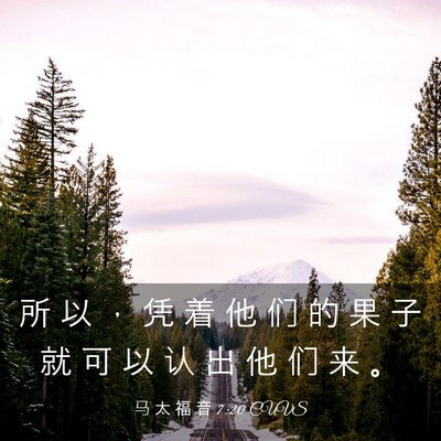 Picture 03 - 马 太 福 音 7:20 CUVS - 所 以 ， 凭 着 他 们 的 果 子 就 可 - Bible Verse Picture