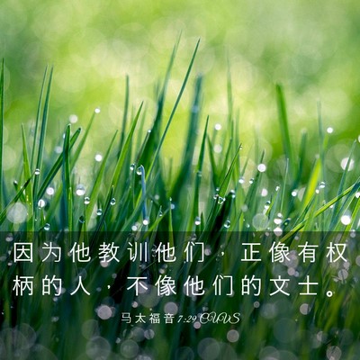 Picture 03 - 马 太 福 音 7:29 CUVS - 因 为 他 教 训 他 们 ， 正 像 有 权 - Bible Verse Picture