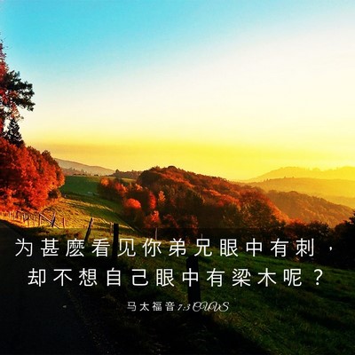 Picture 03 - 马 太 福 音 7:3 CUVS - 为 甚 麽 看 见 你 弟 兄 眼 中 有 刺 - Bible Verse Picture