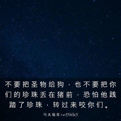 Picture 03 - 马 太 福 音 7:6 CUVS - 不 要 把 圣 物 给 狗 ， 也 不 要 把 - Bible Verse Picture