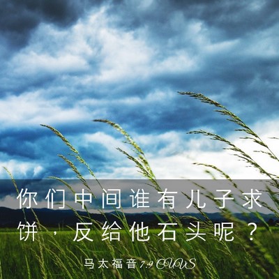 Picture 03 - 马 太 福 音 7:9 CUVS - 你 们 中 间 谁 有 儿 子 求 饼 ， 反 - Bible Verse Picture