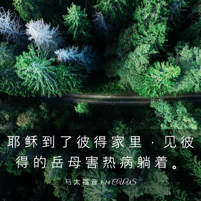 Picture 03 - 马 太 福 音 8:14 CUVS - 耶 稣 到 了 彼 得 家 里 ， 见 彼 得 - Bible Verse Picture
