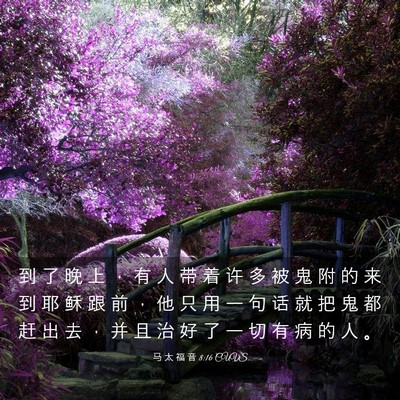 Picture 03 - 马 太 福 音 8:16 CUVS - 到 了 晚 上 ， 有 人 带 着 许 多 被 - Bible Verse Picture