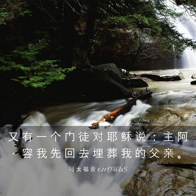 Picture 03 - 马 太 福 音 8:21 CUVS - 又 有 一 个 门 徒 对 耶 稣 说 ： 主 - Bible Verse Picture