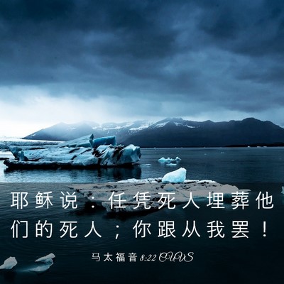 Picture 03 - 马 太 福 音 8:22 CUVS - 耶 稣 说 ： 任 凭 死 人 埋 葬 他 们 - Bible Verse Picture