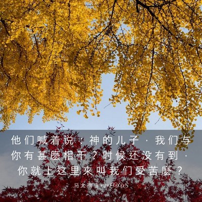 Picture 03 - 马 太 福 音 8:29 CUVS - 他 们 喊 着 说 ： 神 的 儿 子 ， 我 - Bible Verse Picture