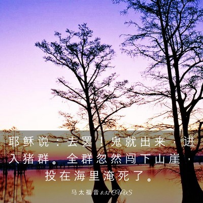 Picture 03 - 马 太 福 音 8:32 CUVS - 耶 稣 说 ： 去 罢 ！ 鬼 就 出 来 ， - Bible Verse Picture