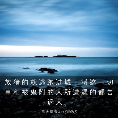 Picture 03 - 马 太 福 音 8:33 CUVS - 放 猪 的 就 逃 跑 进 城 ， 将 这 一 - Bible Verse Picture