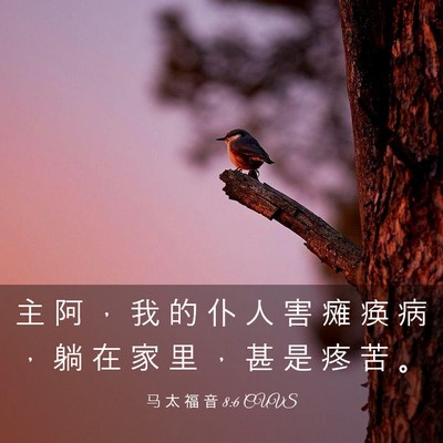 Picture 03 - 马 太 福 音 8:6 CUVS - 主 阿 ， 我 的 仆 人 害 瘫 痪 病 ， - Bible Verse Picture