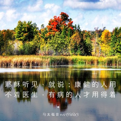 Picture 03 - 马 太 福 音 9:12 CUVS - 耶 稣 听 见 ， 就 说 ： 康 健 的 人 - Bible Verse Picture