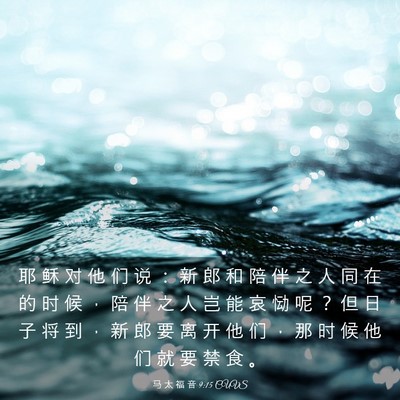 Picture 03 - 马 太 福 音 9:15 CUVS - 耶 稣 对 他 们 说 ： 新 郎 和 陪 伴 - Bible Verse Picture