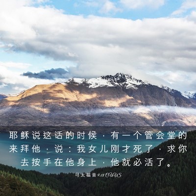 Picture 03 - 马 太 福 音 9:18 CUVS - 耶 稣 说 这 话 的 时 候 ， 有 一 个 - Bible Verse Picture