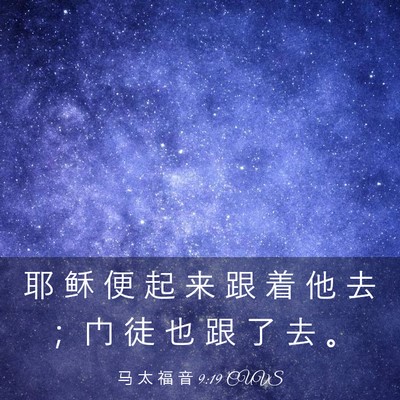 Picture 03 - 马 太 福 音 9:19 CUVS - 耶 稣 便 起 来 跟 着 他 去 ； 门 徒 - Bible Verse Picture