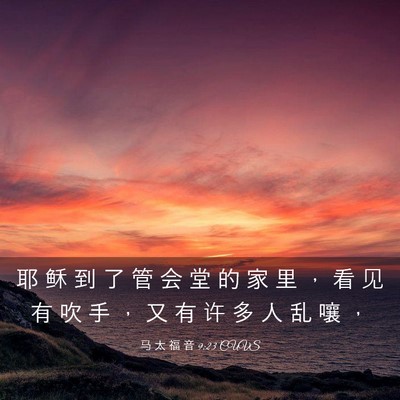 Picture 03 - 马 太 福 音 9:23 CUVS - 耶 稣 到 了 管 会 堂 的 家 里 ， 看 - Bible Verse Picture