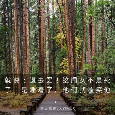Picture 03 - 马 太 福 音 9:24 CUVS - 就 说 ： 退 去 罢 ！ 这 闺 女 不 是 - Bible Verse Picture