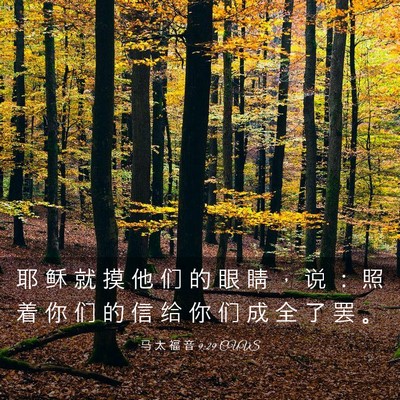 Picture 03 - 马 太 福 音 9:29 CUVS - 耶 稣 就 摸 他 们 的 眼 睛 ， 说 ： - Bible Verse Picture