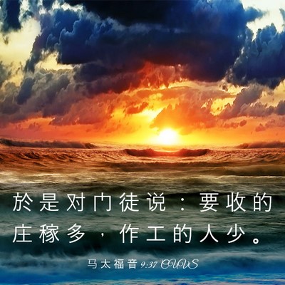 Picture 03 - 马 太 福 音 9:37 CUVS - 於 是 对 门 徒 说 ： 要 收 的 庄 稼 - Bible Verse Picture