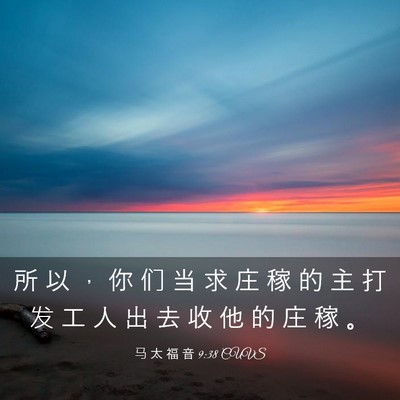Picture 03 - 马 太 福 音 9:38 CUVS - 所 以 ， 你 们 当 求 庄 稼 的 主 打 - Bible Verse Picture