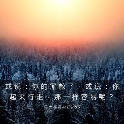 Picture 03 - 马 太 福 音 9:5 CUVS - 或 说 ： 你 的 罪 赦 了 ， 或 说 ： - Bible Verse Picture