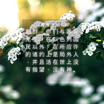 Picture 04 - 以 弗 所 书 2:12 CUVS - 那 时 ， 你 们 与 基 督 无 关 ， 在 - Bible Verse Picture
