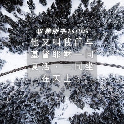 Picture 04 - 以 弗 所 书 2:6 CUVS - 他 又 叫 我 们 与 基 督 耶 稣 一 同 - Bible Verse Picture