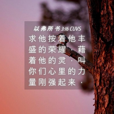 Picture 04 - 以 弗 所 书 3:16 CUVS - 求 他 按 着 他 丰 盛 的 荣 耀 ， 藉 - Bible Verse Picture