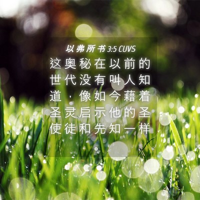 Picture 04 - 以 弗 所 书 3:5 CUVS - 这 奥 秘 在 以 前 的 世 代 没 有 叫 - Bible Verse Picture