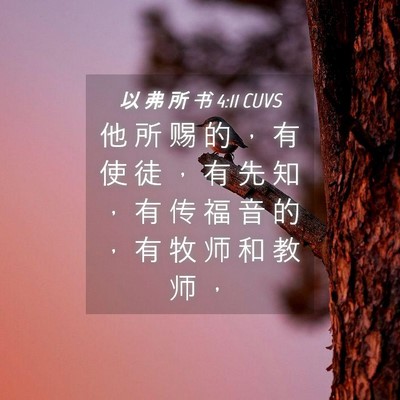 Picture 04 - 以 弗 所 书 4:11 CUVS - 他 所 赐 的 ， 有 使 徒 ， 有 先 知 - Bible Verse Picture