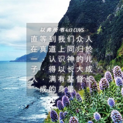 Picture 04 - 以 弗 所 书 4:13 CUVS - 直 等 到 我 们 众 人 在 真 道 上 同 - Bible Verse Picture