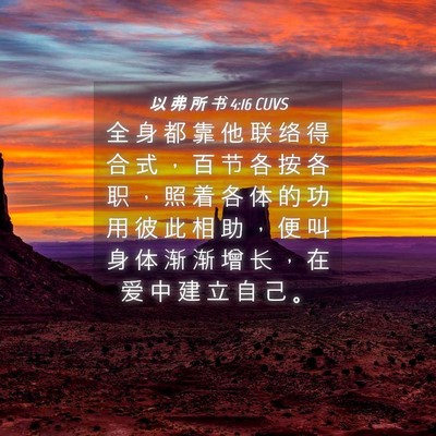 Picture 04 - 以 弗 所 书 4:16 CUVS - 全 身 都 靠 他 联 络 得 合 式 ， 百 - Bible Verse Picture