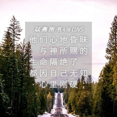Picture 04 - 以 弗 所 书 4:18 CUVS - 他 们 心 地 昏 昧 ， 与 神 所 赐 的 - Bible Verse Picture