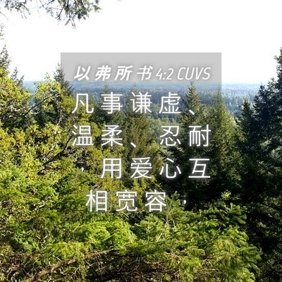 Picture 04 - 以 弗 所 书 4:2 CUVS - 凡 事 谦 虚 、 温 柔 、 忍 耐 ， 用 - Bible Verse Picture