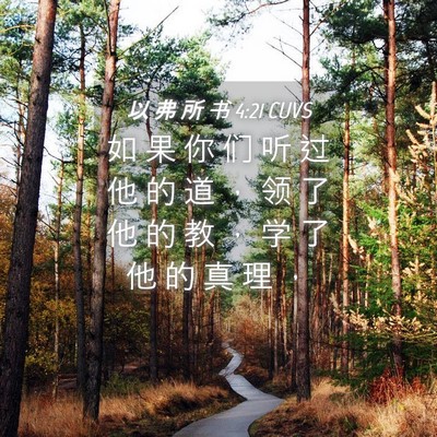 Picture 04 - 以 弗 所 书 4:21 CUVS - 如 果 你 们 听 过 他 的 道 ， 领 了 - Bible Verse Picture
