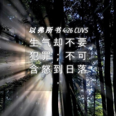 Picture 04 - 以 弗 所 书 4:26 CUVS - 生 气 却 不 要 犯 罪 ； 不 可 含 怒 - Bible Verse Picture