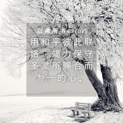 Picture 04 - 以 弗 所 书 4:3 CUVS - 用 和 平 彼 此 联 络 ， 竭 力 保 守 - Bible Verse Picture