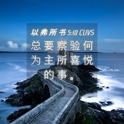 Picture 04 - 以 弗 所 书 5:10 CUVS - 总 要 察 验 何 为 主 所 喜 悦 的 事 - Bible Verse Picture