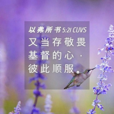 Picture 04 - 以 弗 所 书 5:21 CUVS - 又 当 存 敬 畏 基 督 的 心 ， 彼 此 - Bible Verse Picture