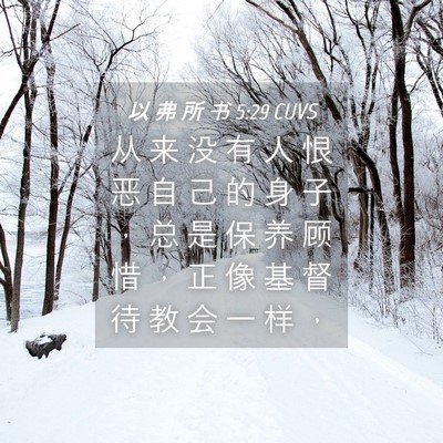 Picture 04 - 以 弗 所 书 5:29 CUVS - 从 来 没 有 人 恨 恶 自 己 的 身 子 - Bible Verse Picture