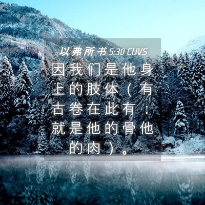 Picture 04 - 以 弗 所 书 5:30 CUVS - 因 我 们 是 他 身 上 的 肢 体 （ 有 - Bible Verse Picture