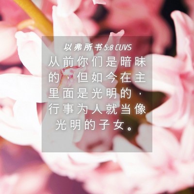 Picture 04 - 以 弗 所 书 5:8 CUVS - 从 前 你 们 是 暗 昧 的 ， 但 如 今 - Bible Verse Picture