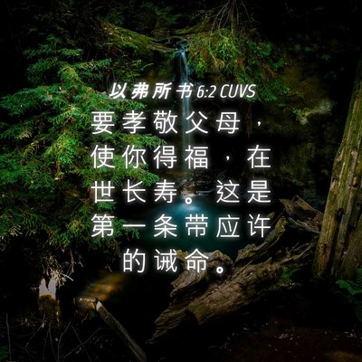 Picture 04 - 以 弗 所 书 6:2 CUVS - 要 孝 敬 父 母 ， 使 你 得 福 ， 在 - Bible Verse Picture