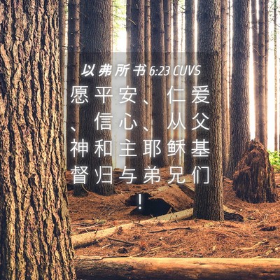 Picture 04 - 以 弗 所 书 6:23 CUVS - 愿 平 安 、 仁 爱 、 信 心 、 从 父 - Bible Verse Picture
